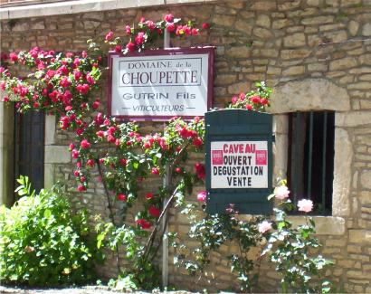 Domaine De La Choupette teaser